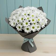 Букет цветов из:  Хризантемы #REPLACE_PRED# Павловский